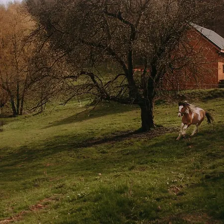 Osada Krasne - Blisko Natury 山林小屋 *