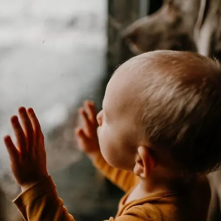 山林小屋 Osada Krasne - Blisko Natury *