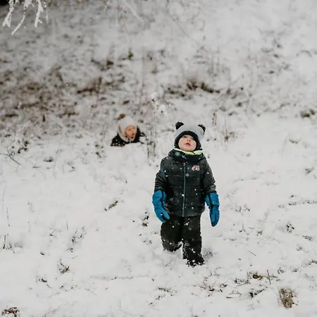 Osada Krasne - Blisko Natury 山林小屋 Bukowiec (Lower Silesia)