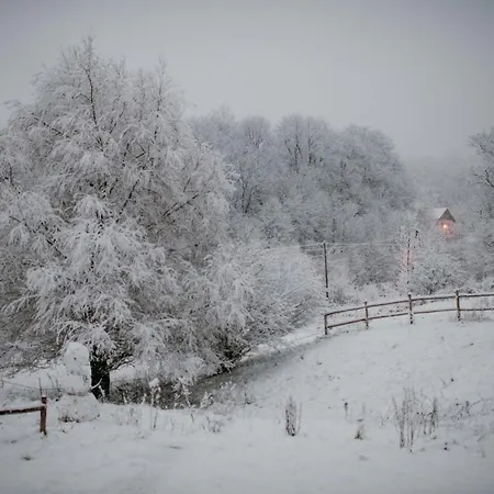 Osada Krasne - Blisko Natury 山林小屋 *