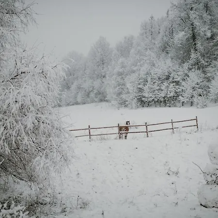 山林小屋 Osada Krasne - Blisko Natury *