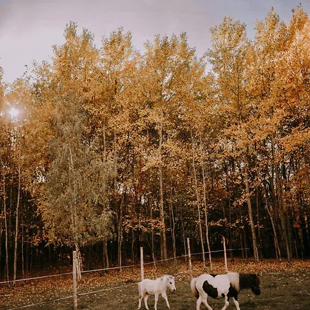 山林小屋 Osada Krasne - Blisko Natury