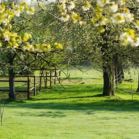 Osada Krasne - Blisko Natury Bukowiec (Lower Silesia)