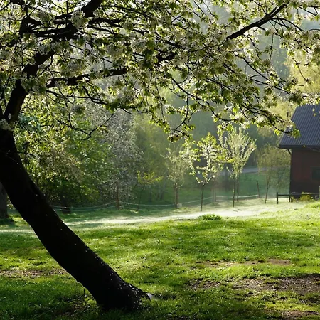 Osada Krasne - Blisko Natury * Bukowiec (Lower Silesia)