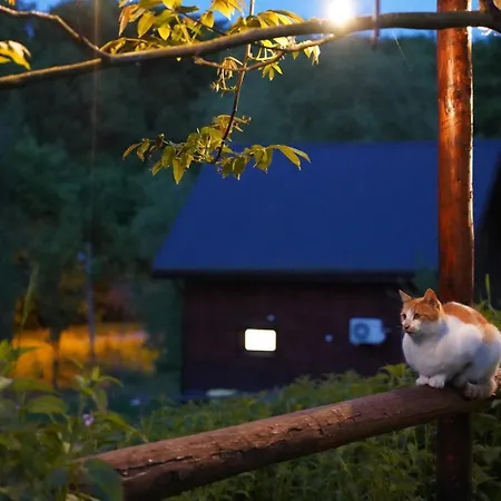 Osada Krasne - Blisko Natury 山林小屋 Bukowiec (Lower Silesia)