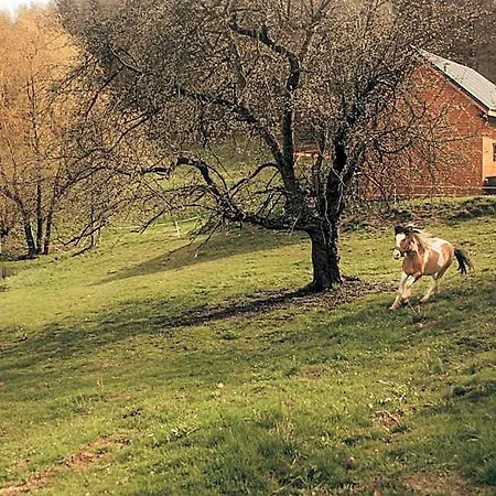 Lodge Osada Krasne - Blisko Natury *