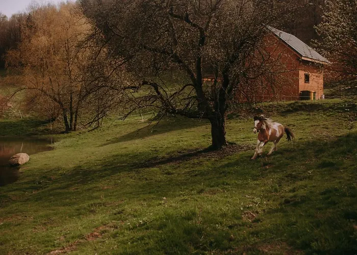 Osada Krasne - Blisko Natury Domek letniskowy *
