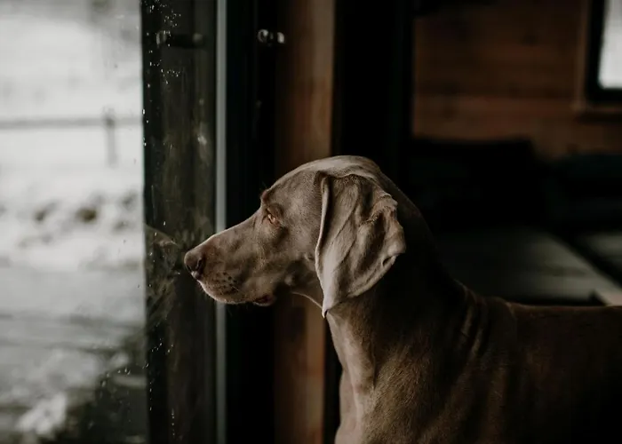 Domek letniskowy Osada Krasne - Blisko Natury Bukowiec (Lower Silesia)