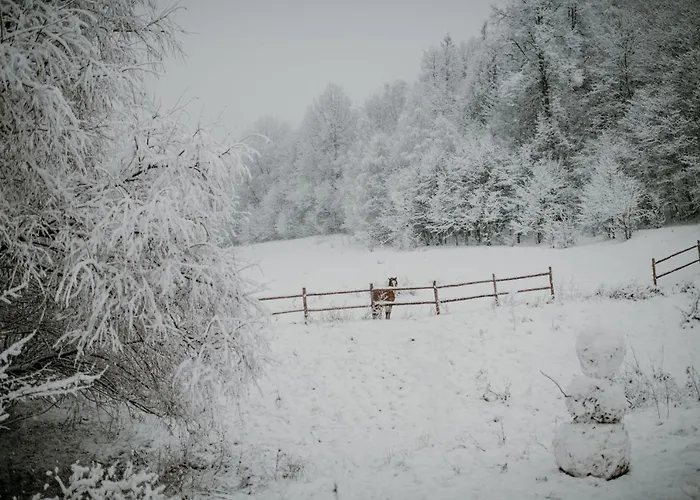 Lodge Osada Krasne - Blisko Natury *