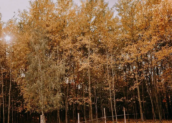 롯지 Osada Krasne - Blisko Natury