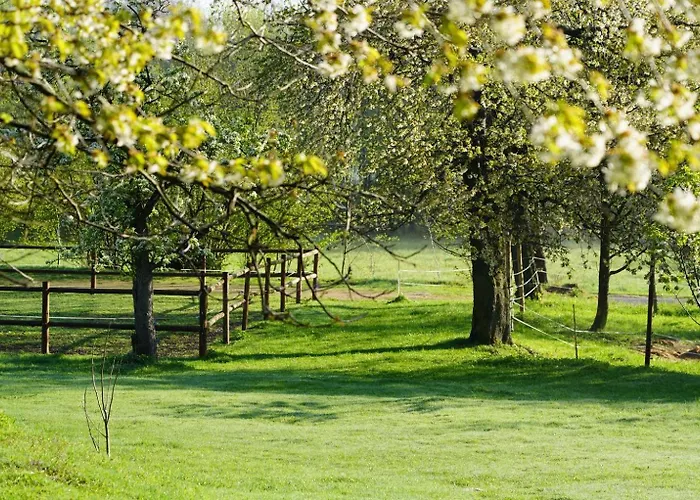 Osada Krasne - Blisko Natury Bukowiec (Lower Silesia)