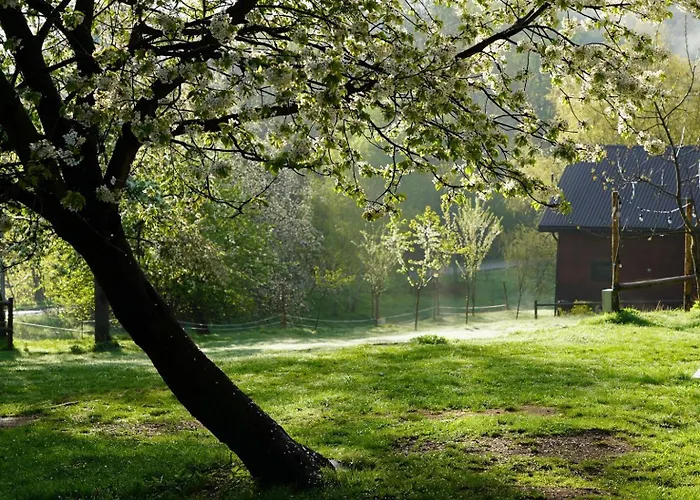 Osada Krasne - Blisko Natury * Bukowiec (Lower Silesia)