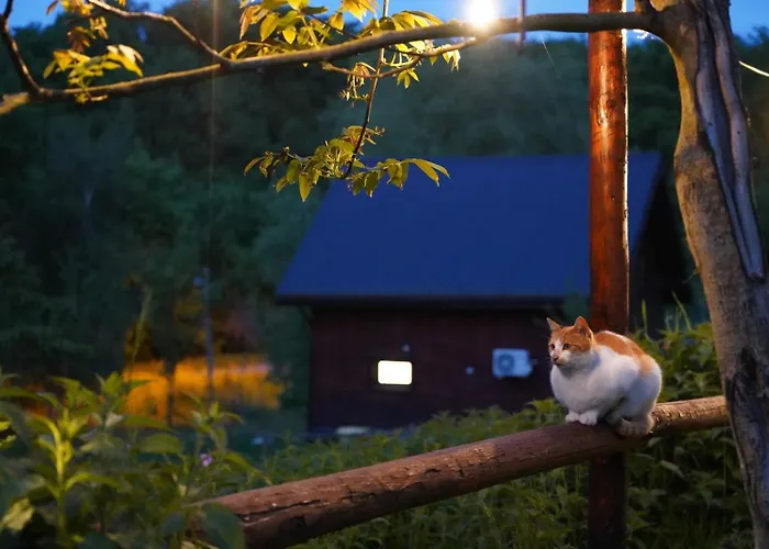 Osada Krasne - Blisko Natury Lodge Bukowiec (Lower Silesia)